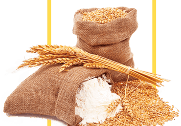 US first-quarter flour production to 15-year low