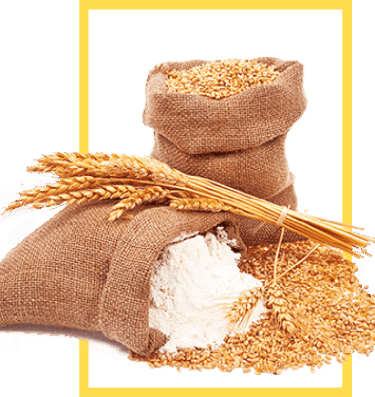 US first-quarter flour production to 15-year low