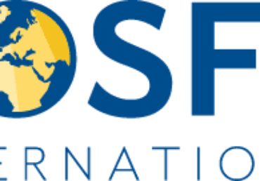 Grain market review: Oilseeds