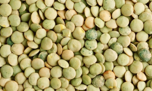 Small-Green-Lentils.jpeg