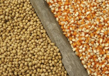 Russia rerouting grain exports to Baltic Sea