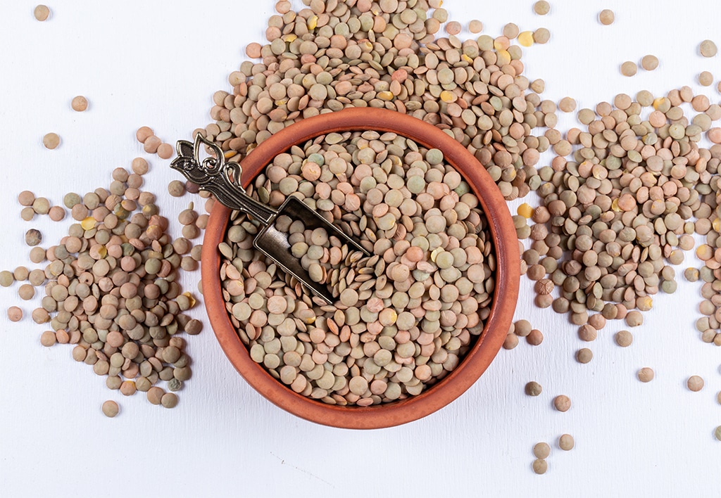 green-lentils-brown-bowl-iron-spice-spoon-copy.jpg