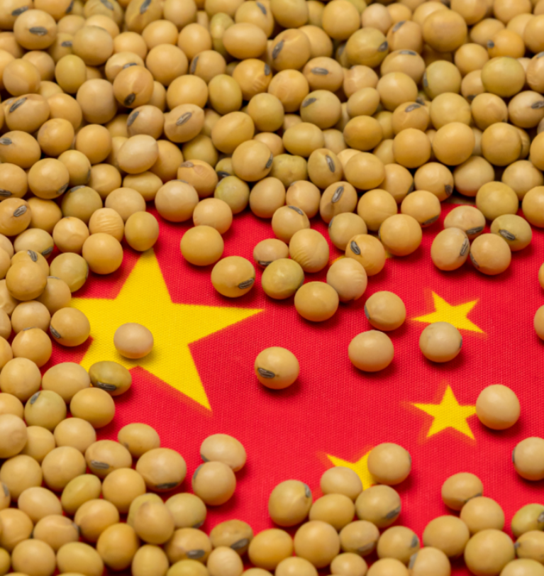 China expected to import less soybeans￼