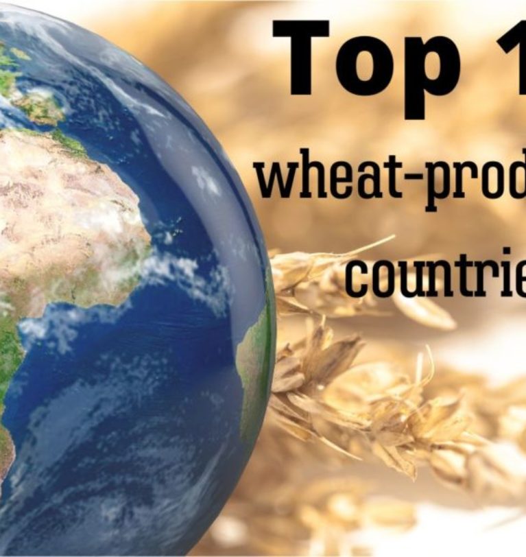 World’s top wheat-producing countries