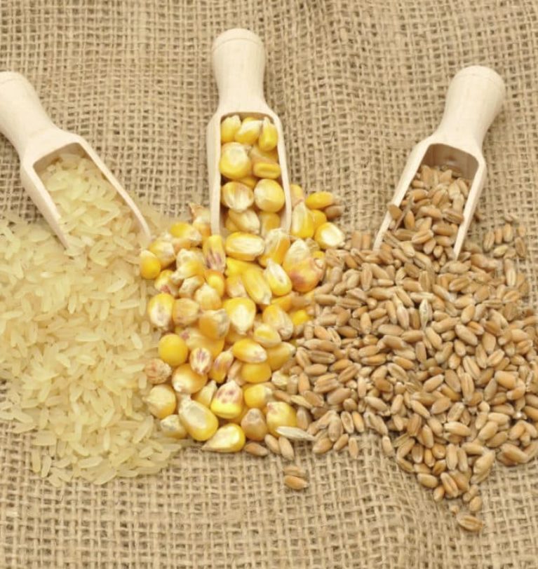 FAO sees drop in global grain output