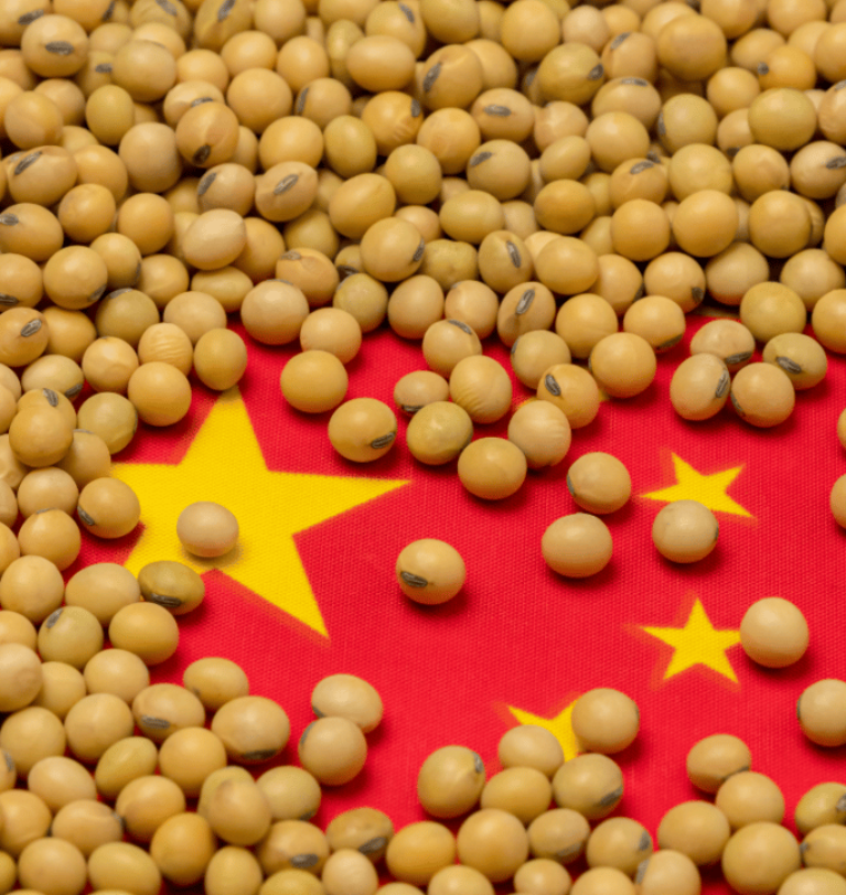 China’s soybean imports hit the lowest level since 2014