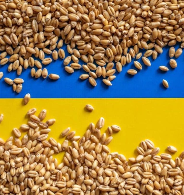 Ukraine says it has alternatives if Black Sea Grain Initiative not extended