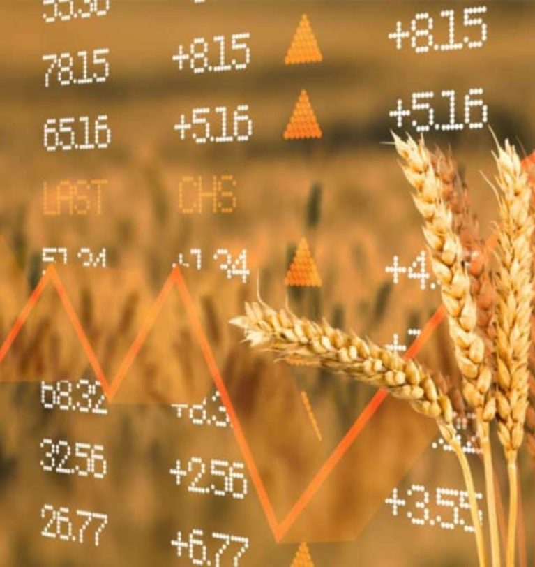 Wheat prices rise with Ukraine dam breach.