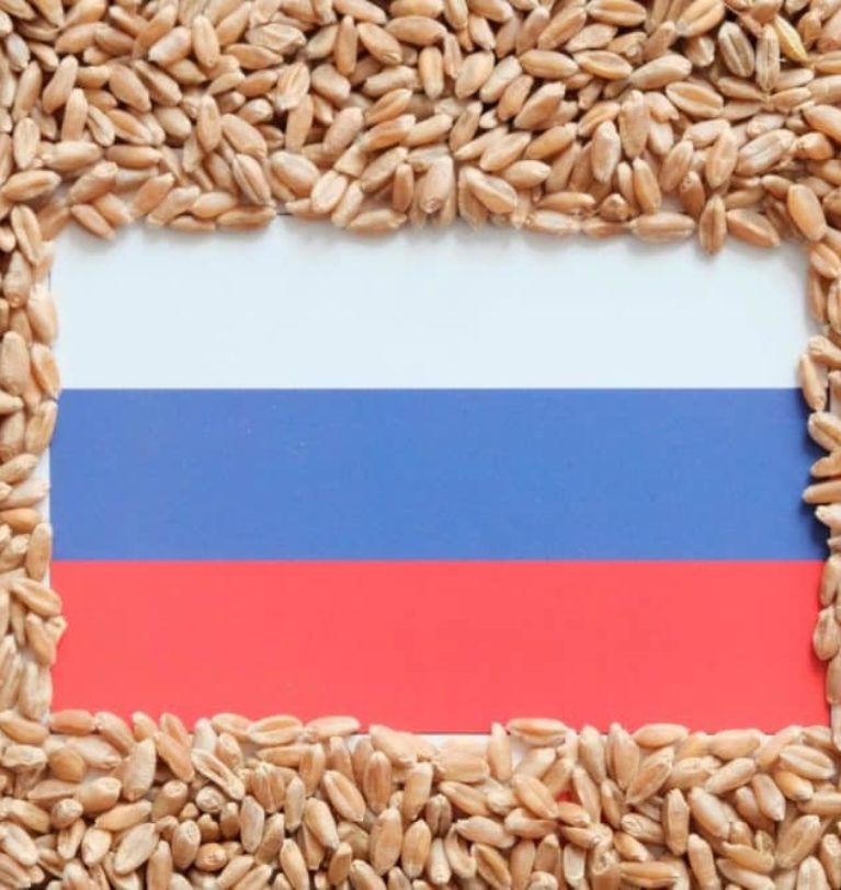 Russia forecasting record grain exports