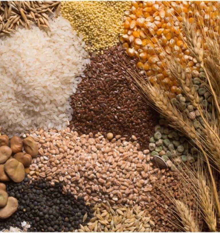 FAO forecasts record cereal output