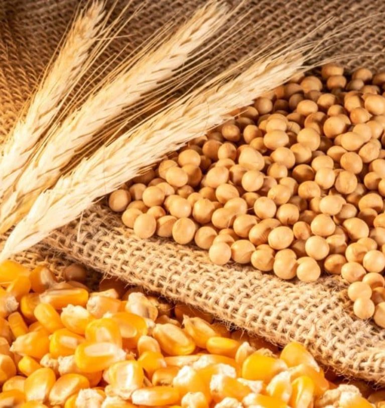 IGC: World soybean output up 7% year on year