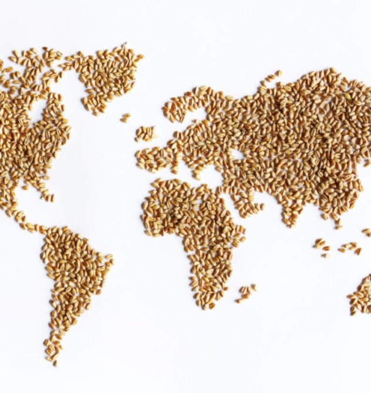 Shifting population and income levels shape global ag demand