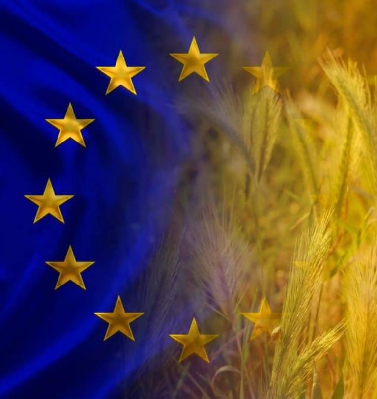 Discord impacting EU grain, feed industries