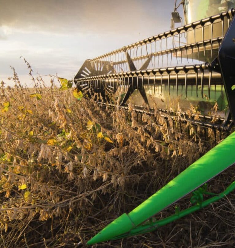 Rains slow Brazilian soybean harvest