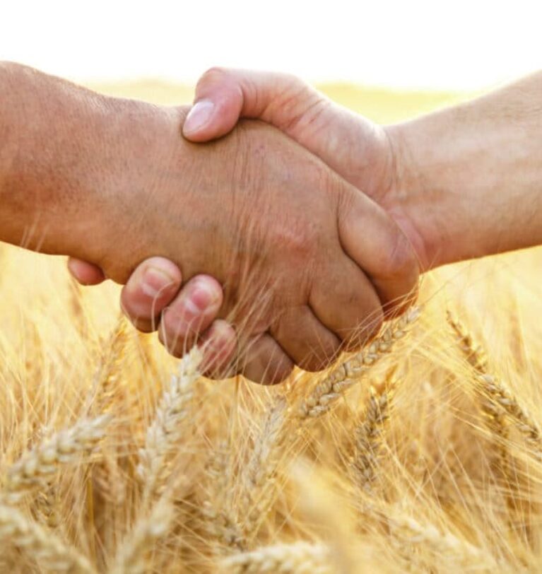 Partnership sources Ukrainian grain