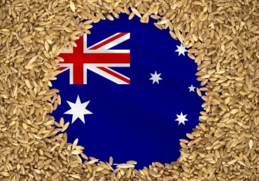 Australian winter crops poised for strong year