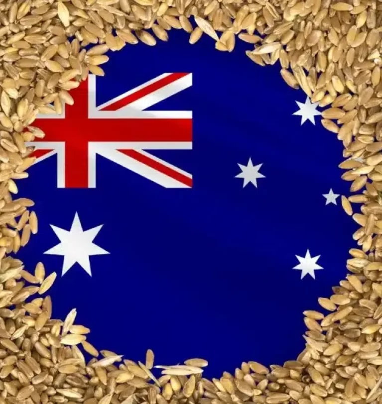 Australian winter crops poised for strong year