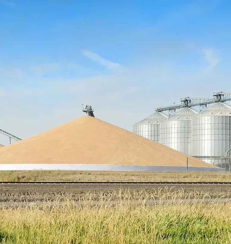 USDA raises wheat production estimate