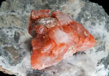 US grain growers applaud larger vital minerals list